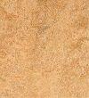 van-gogh.jpg